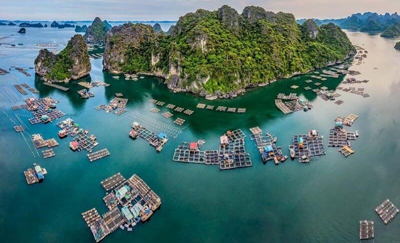 Làng Chài Vung Viêng - Tour Bái Tử Long 2 ngày du thuyền Garden Bay